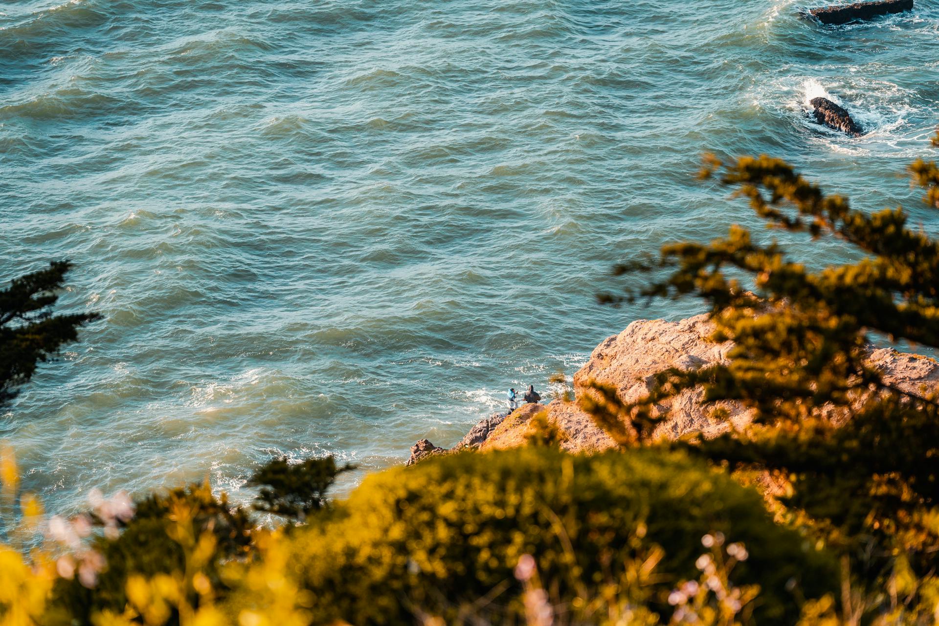 pexels-wacho-31874003